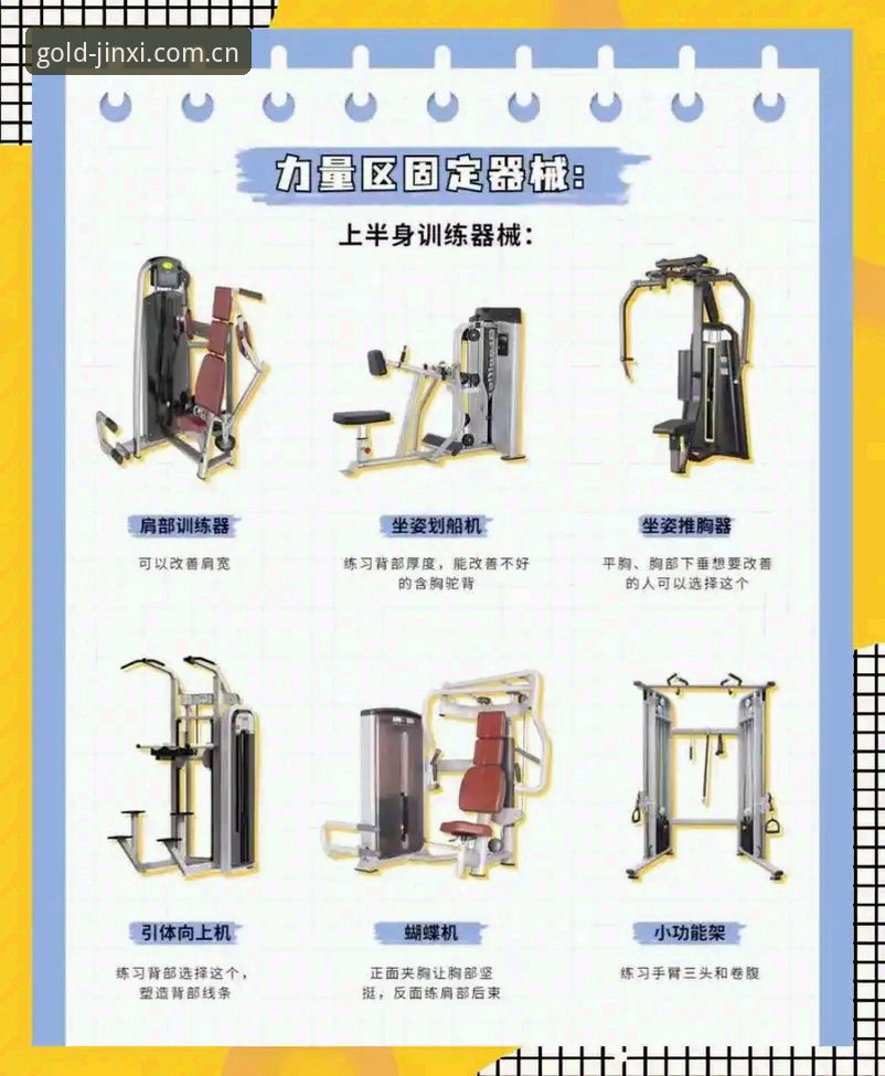 金喜体育使用教程哪个好？新手必看的完整选择指南